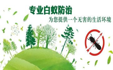 校园欺凌防治教案8篇