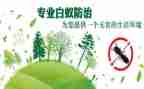 校园欺凌防治教案8篇
