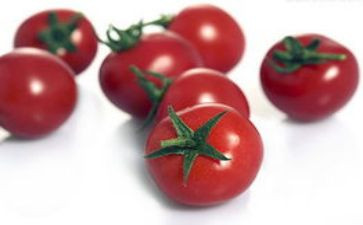 番茄作文优质7篇