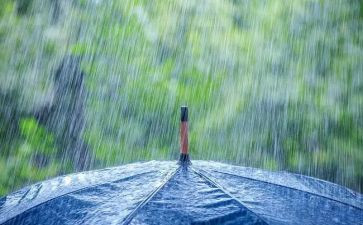 总在风雨后作文8篇