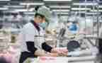 2024年复工复产汇报材料7篇
