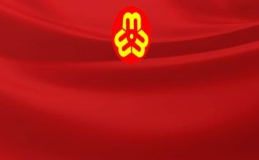 村妇联的工作总结优秀8篇