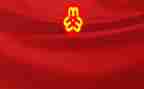 村妇联的述职报告7篇