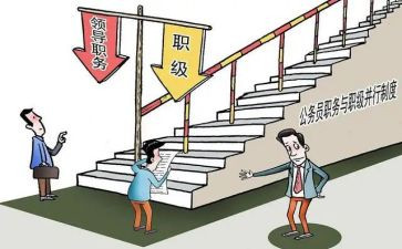 副职的述职报告范文5篇