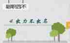 中层副职述职报告7篇