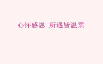 感恩的作文演讲稿6篇