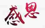 感恩的作文800字作文通用5篇