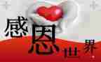 感恩老师作文优质6篇