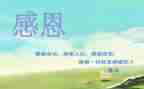 感恩老师作文8篇