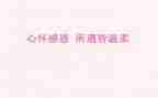 感恩教师的演讲稿模板6篇