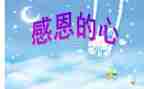 感恩班会教案优质8篇