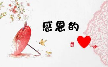 我感激你作文7篇