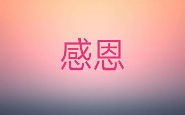 让我感激作文8篇