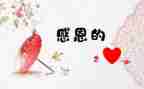 我感激你作文7篇