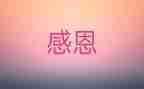 让我感激作文8篇