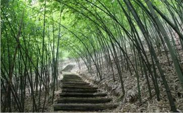 感念师恩讲话稿5篇