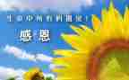 我感谢作文600字推荐8篇