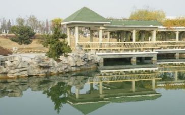 高校教师述职个人述职报告6篇