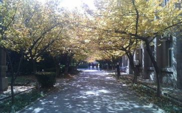 高校教师个人总结年度个人总结7篇
