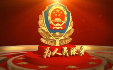 2024公安年度总结6篇