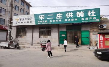 2024年供销社工作计划6篇