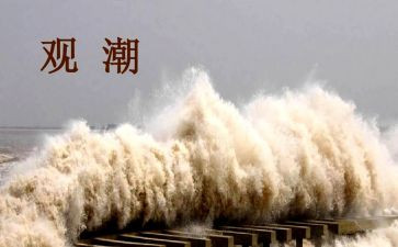 四年级上观潮读后感参考6篇