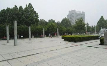 广场活动方案7篇