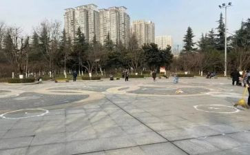 带广场的蟋蟀读后感7篇