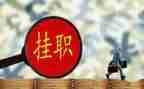 挂职2024年工作总结范文5篇