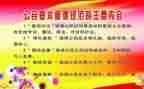 规范字的心得体会优质7篇