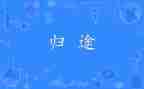 万里归途观后感200字6篇