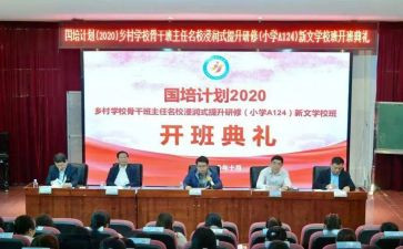 2024国培计划小学数学研修总结6篇