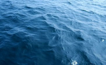 海归就业力调查报告最新6篇