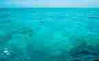 海读后感600字推荐5篇