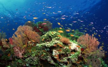 海底两万里读后感500字模板5篇