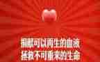 和血有关的工作计划推荐6篇