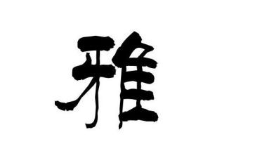 小学和雅少年事迹材料8篇