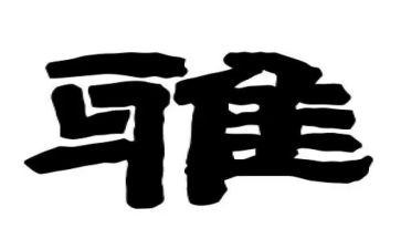 小学和雅少年事迹材料通用6篇