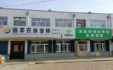 合作社述职报告5篇