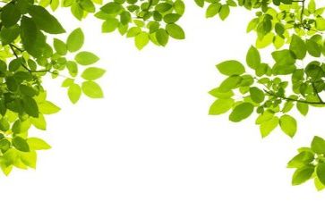 有关环保的调查报告5篇