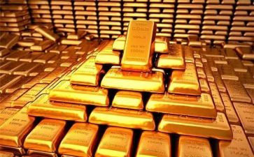 抓黄金活动策划8篇