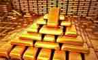 抓黄金活动策划8篇