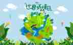 六五环境日宣传活动总结8篇