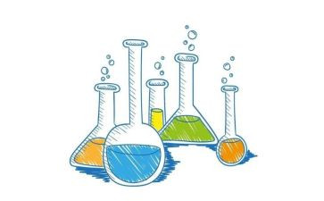 标准化学校自查报告精选5篇