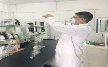 煤化验工作总结最新8篇