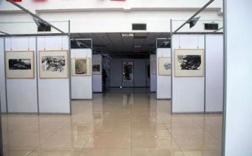 书画展活动方案7篇