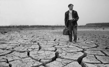 《荒野的呼唤》读后感5篇