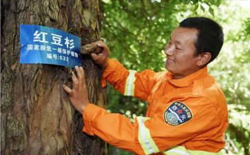 生态护林员年度工作总结7篇