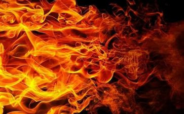火了的开学演讲稿5篇