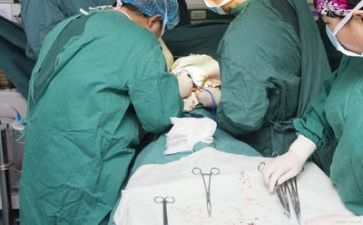 新护士的述职报告6篇